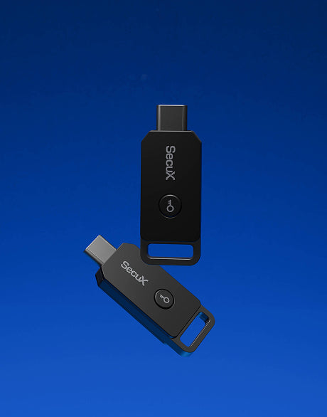 SecuX: Launching a Security Product from Concept to Market Leader